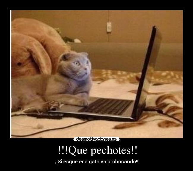 !!!Que pechotes!! -