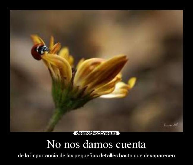 No nos damos cuenta -