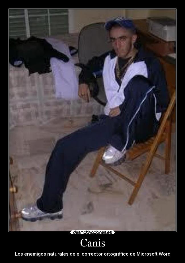 Canis - Los enemigos naturales de el corrector ortográfico de Microsoft Word