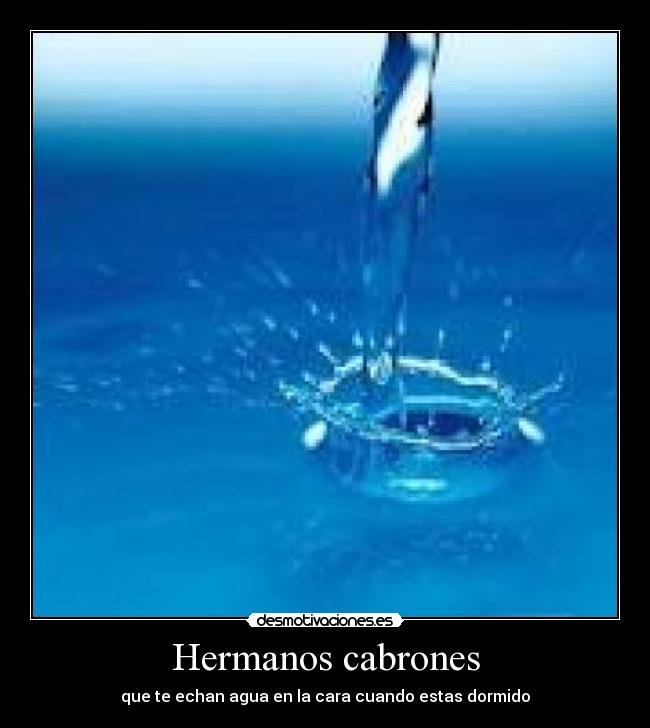 Hermanos cabrones - 