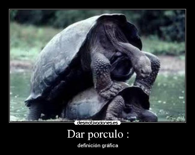 Dar porculo : - 