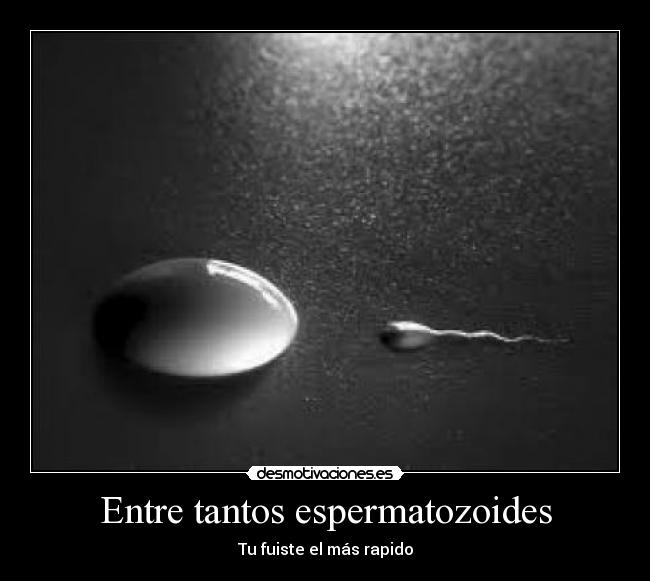 Entre tantos espermatozoides -