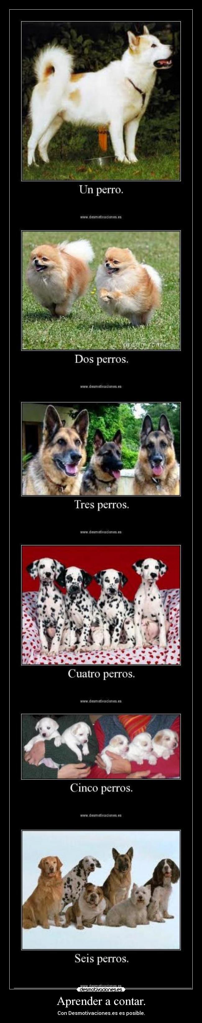 Aprender a contar. - 