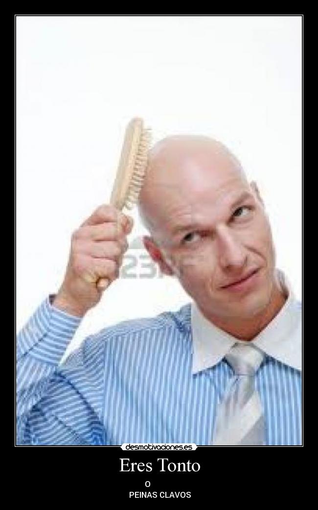 carteles tonto chulakillo desmotivaciones