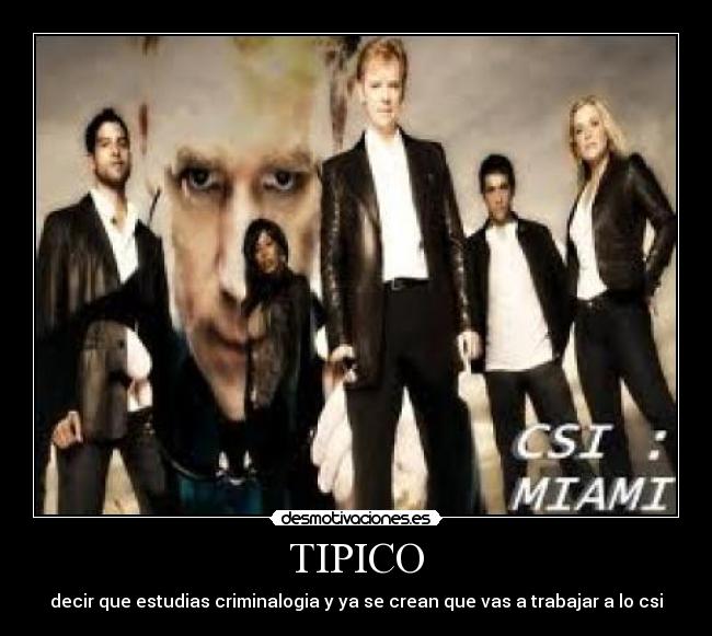 TIPICO - decir que estudias criminalogia y ya se crean que vas a trabajar a lo csi