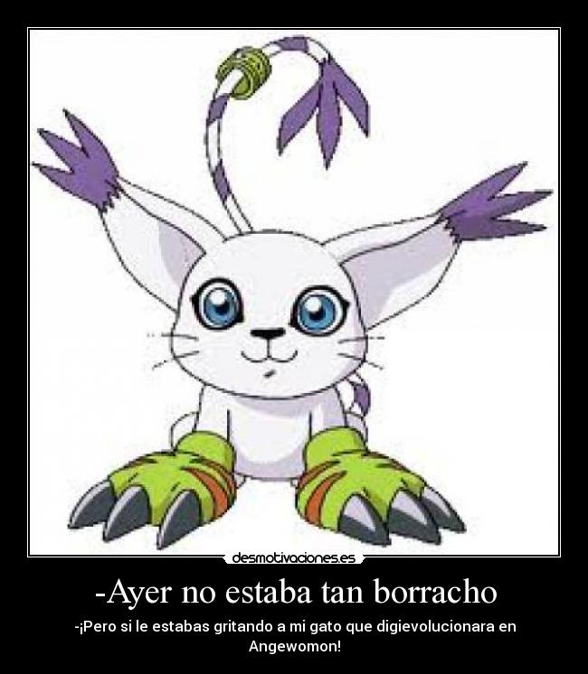 carteles gatomon digimon borracho angewomon desmotivaciones