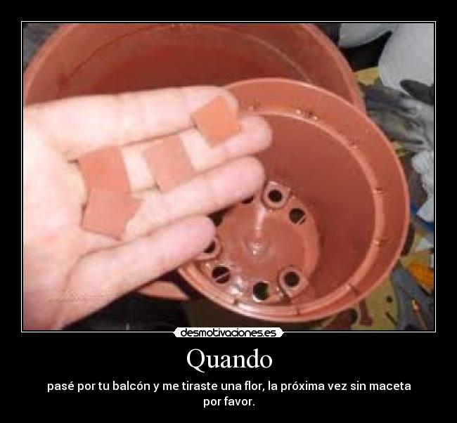 Quando - pasé por tu balcón y me tiraste una flor, la próxima vez sin maceta por favor.