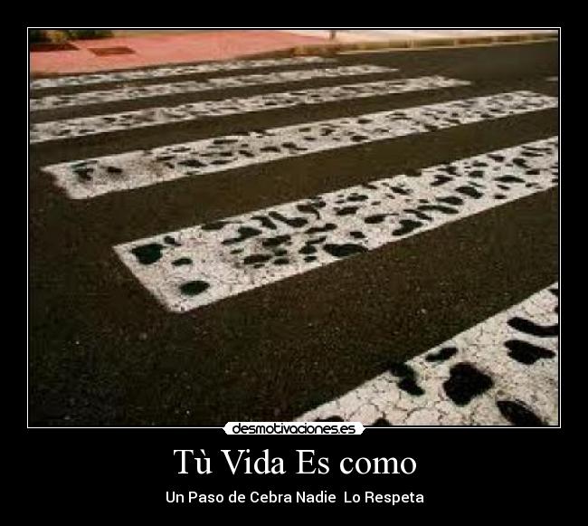 Tù Vida Es como - Un Paso de Cebra Nadie  Lo Respeta