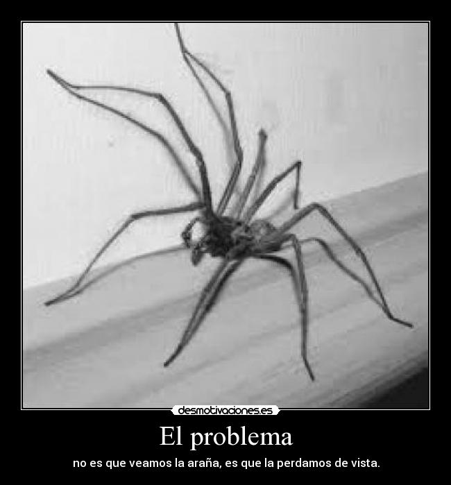 El problema - no es que veamos la araña, es que la perdamos de vista.