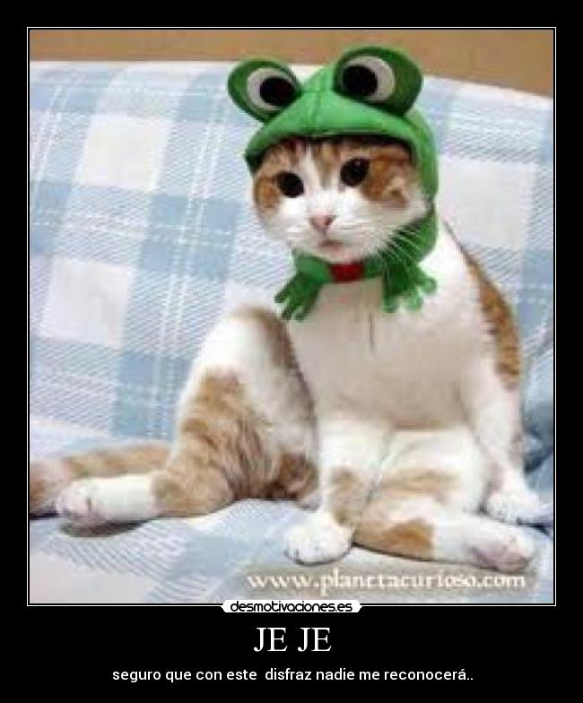 JE JE - seguro que con este disfraz nadie me reconocerá..