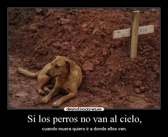 Si los perros no van al cielo, - 