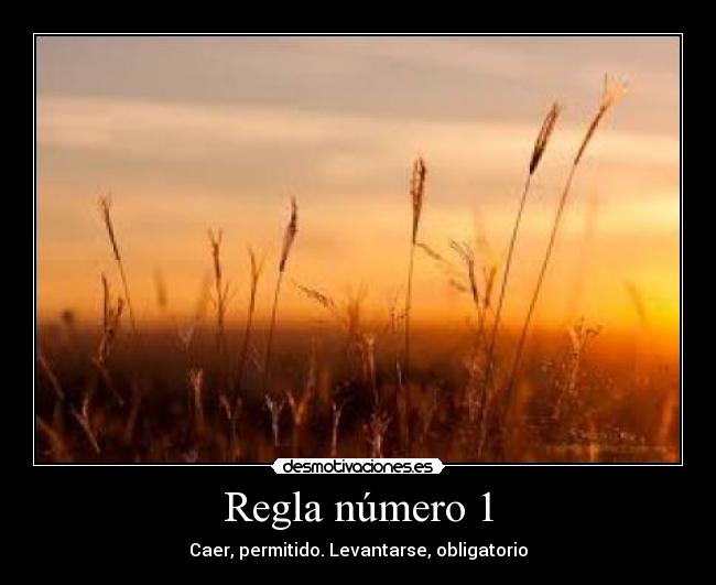 Regla número 1 - Caer, permitido. Levantarse, obligatorio