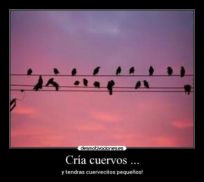 Cría cuervos ... - y tendras cuervecitos pequeños!