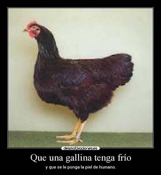 Que una gallina tenga frío - y que se le ponga la piel de humano.