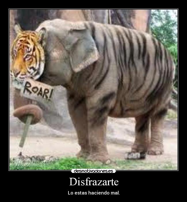 Disfrazarte - 