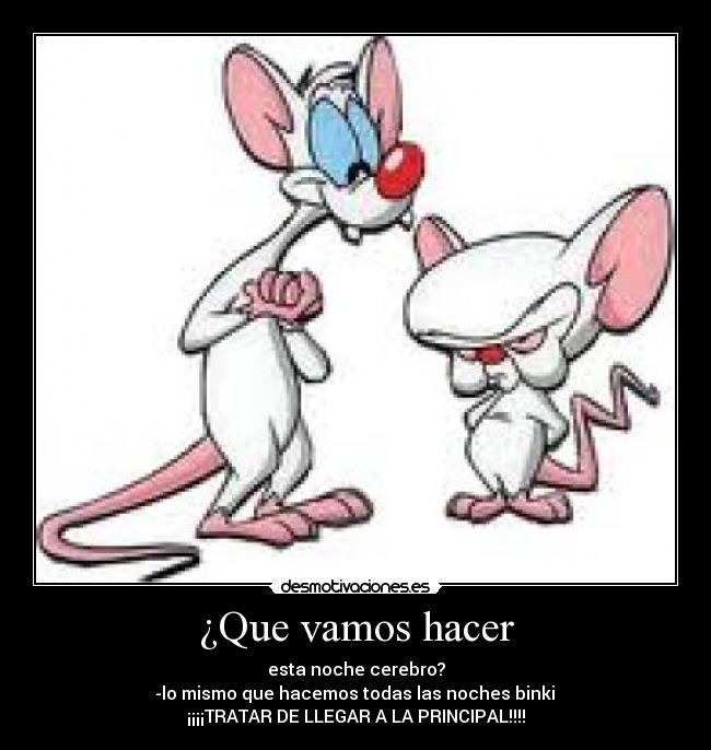 ¿Que vamos hacer -