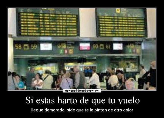 Si estas harto de que tu vuelo -