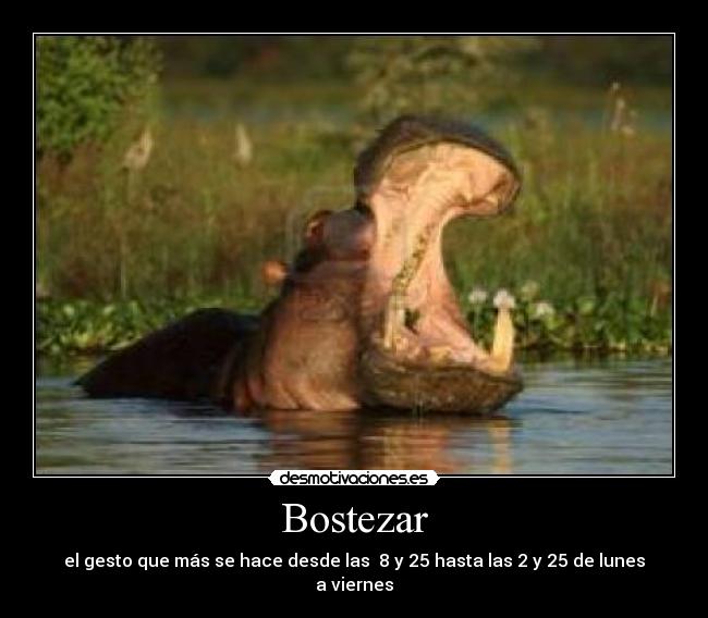 Bostezar - el gesto que más se hace desde las 8 y 25 hasta las 2 y 25 de lunes a viernes