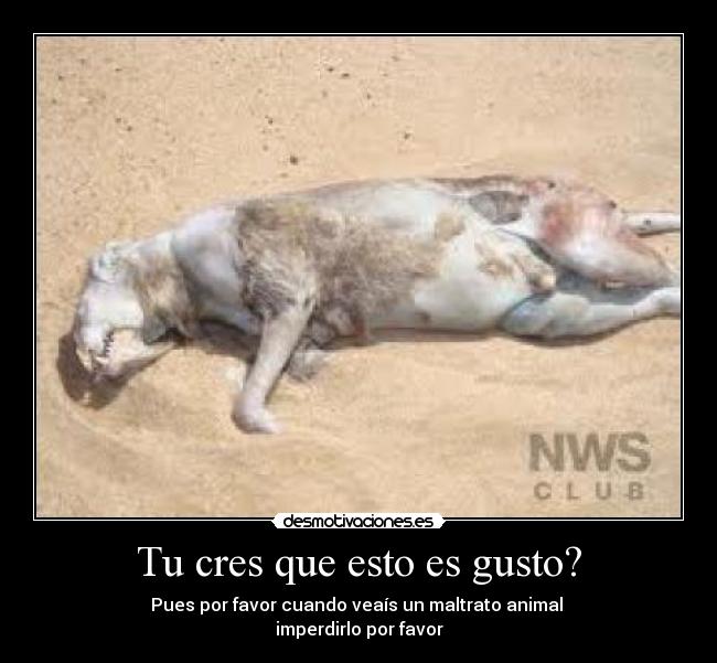 Tu cres que esto es gusto? - Pues por favor cuando veaís un maltrato animal
imperdirlo por favor