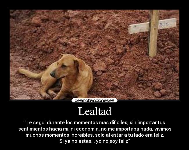 Lealtad - Te segui durante los momentos mas dificiles, sin importar tus
sentimientos hacia mi, ni economia, no me importaba nada, vivimos
muchos momentos increibles. solo al estar a tu lado era feliz.
Si ya no estas... yo no soy feliz