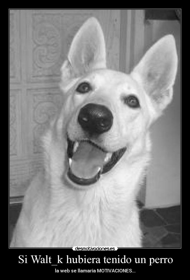 Si Walt_k hubiera tenido un perro - 