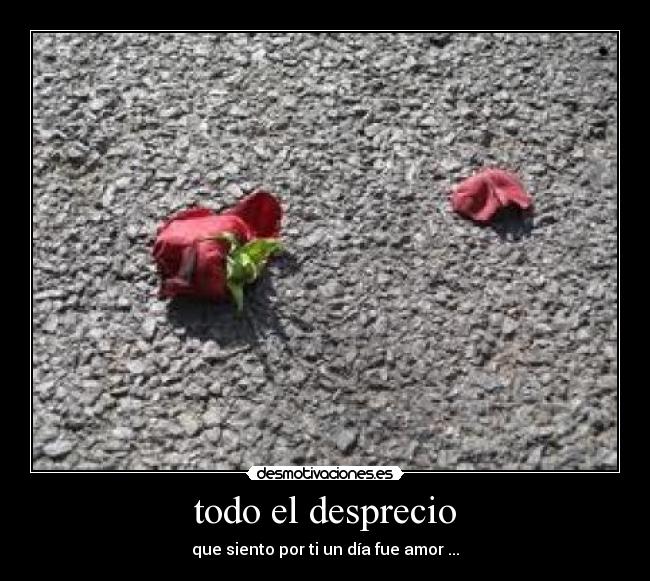 todo el desprecio - que siento por ti un día fue amor ...