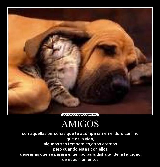 AMIGOS - son aquellas personas que te acompañan en el duro camino
que es la vida,
algunos son temporales,otros eternos
pero cuando estas con ellos
desearias que se parara el tiempo para disfrutar de la felicidad
de esos momentos