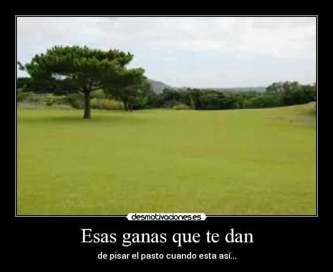 Esas ganas que te dan - 