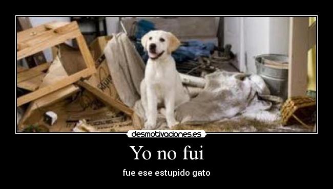 Yo no fui -