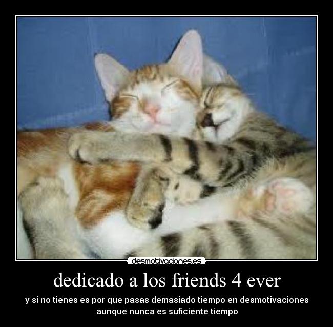 dedicado a los friends 4 ever - y si no tienes es por que pasas demasiado tiempo en desmotivaciones
aunque nunca es suficiente tiempo