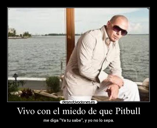 Vivo con el miedo de que Pitbull - 