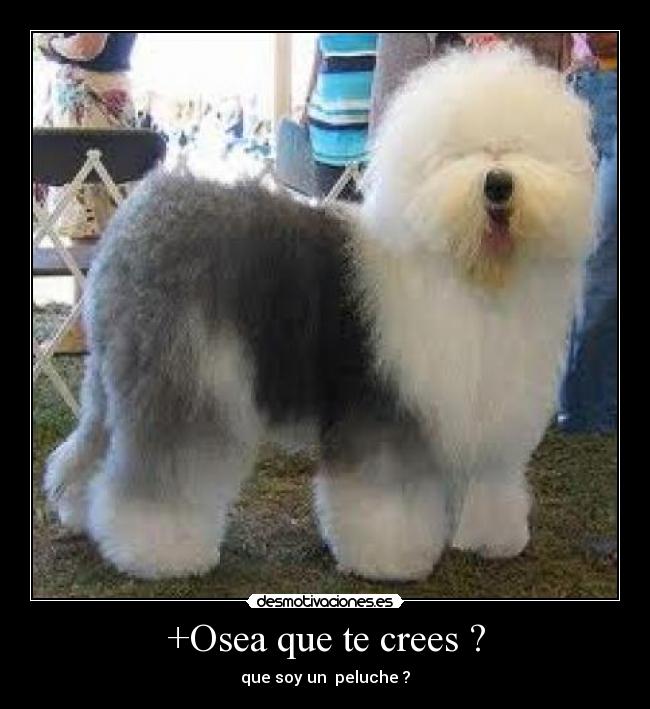+Osea que te crees ? - 