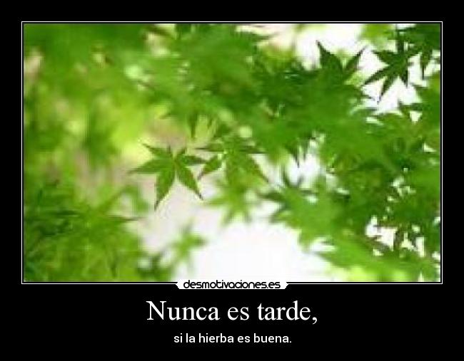 Nunca es tarde, -