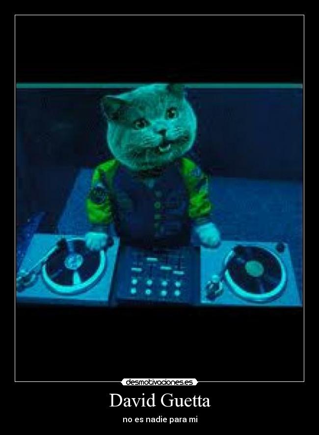 David Guetta -