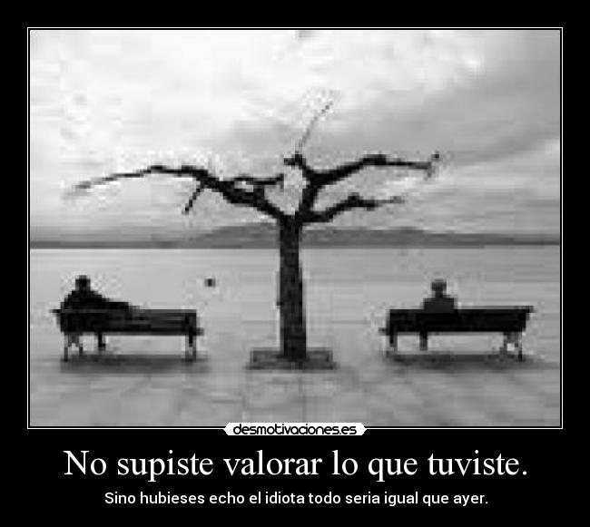 No supiste valorar lo que tuviste. - Sino hubieses echo el idiota todo seria igual que ayer.