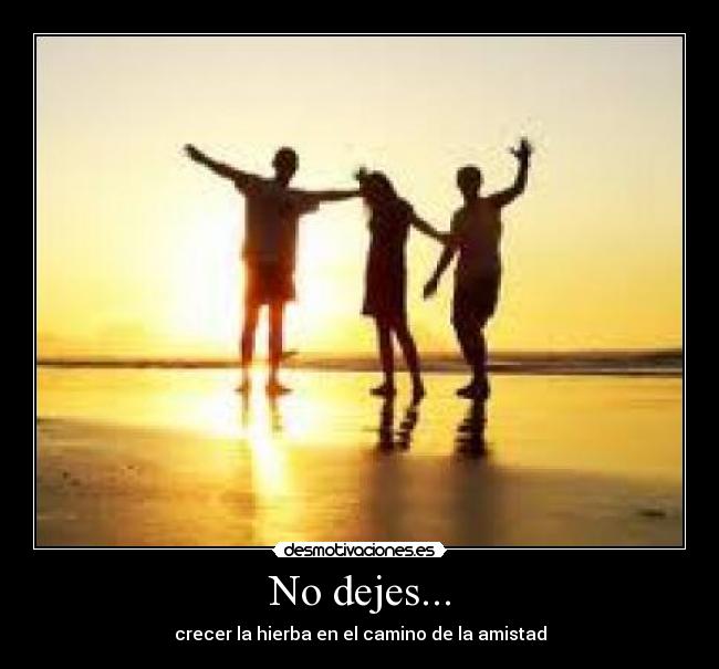No dejes... - crecer la hierba en el camino de la amistad