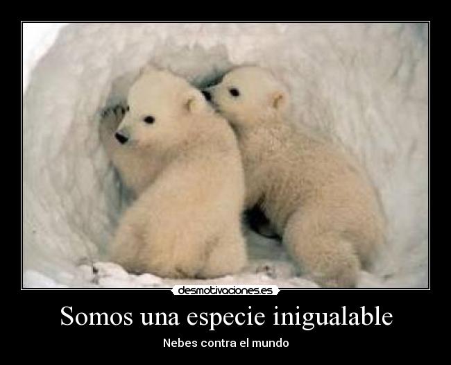 carteles nelson541hotmailcom desmotivaciones