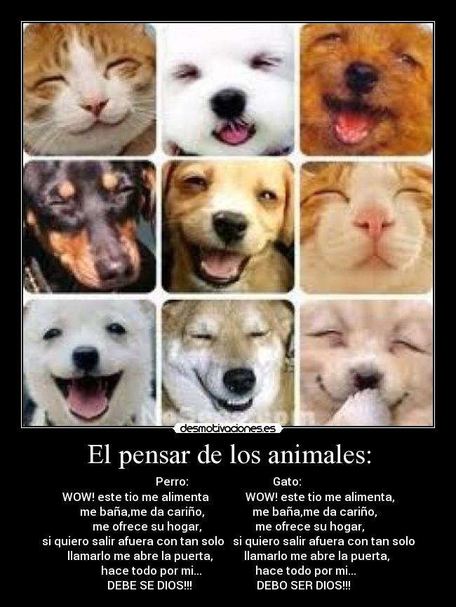 El pensar de los animales: -