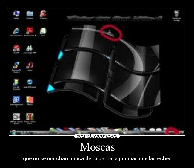 Moscas - que no se marchan nunca de tu pantalla por mas que las eches