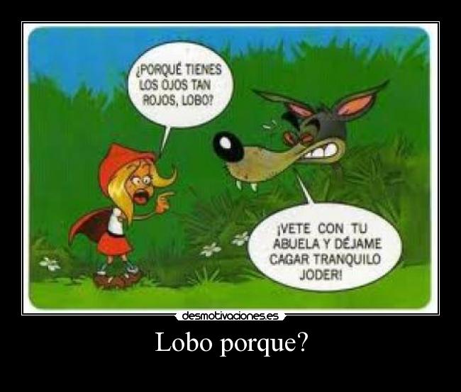 Lobo porque? -