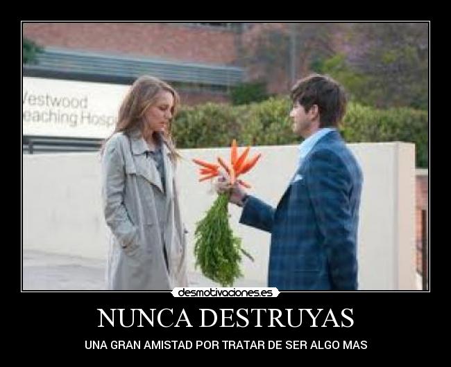 NUNCA DESTRUYAS - UNA GRAN AMISTAD POR TRATAR DE SER ALGO MAS
