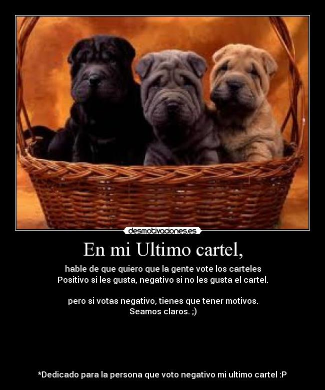 En mi Ultimo cartel, -