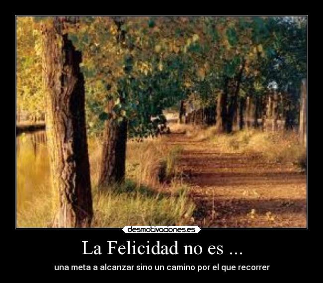 La Felicidad no es ... - 