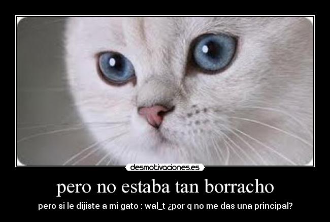 pero no estaba tan borracho - 