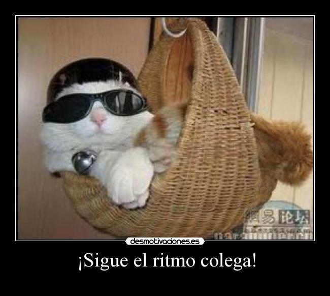 ¡Sigue el ritmo colega! -