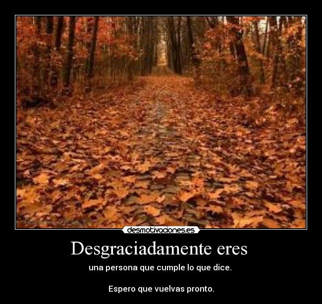 Desgraciadamente eres  - una persona que cumple lo que dice. 

Espero que vuelvas pronto.