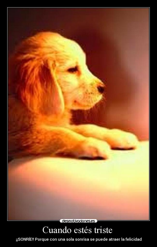 carteles sonrie desmotivaciones