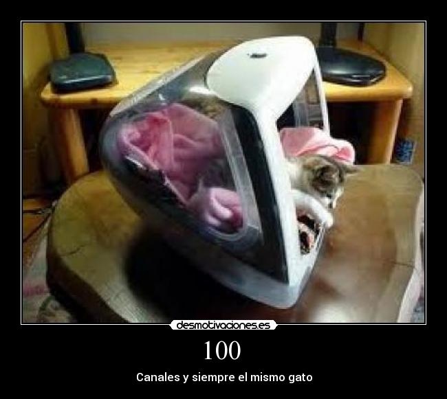 100 - Canales y siempre el mismo gato