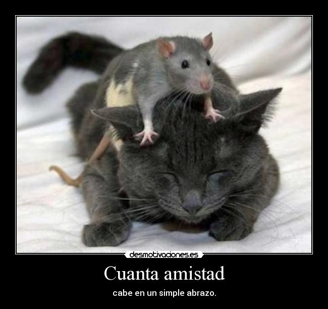 Cuanta amistad -