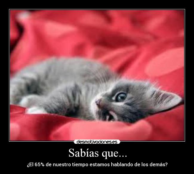Sabías que... - ¿El 65% de nuestro tiempo estamos hablando de los demás?